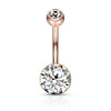 Surgical Steel Double Bezel Belly Ring